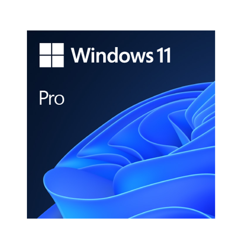 96SW-WIN11-64-EN - Windows 11 Pro 64-bit EN DVD USA - Advantech